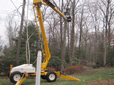 freehold township christmas tree pickup freehold township christmas tree pickup