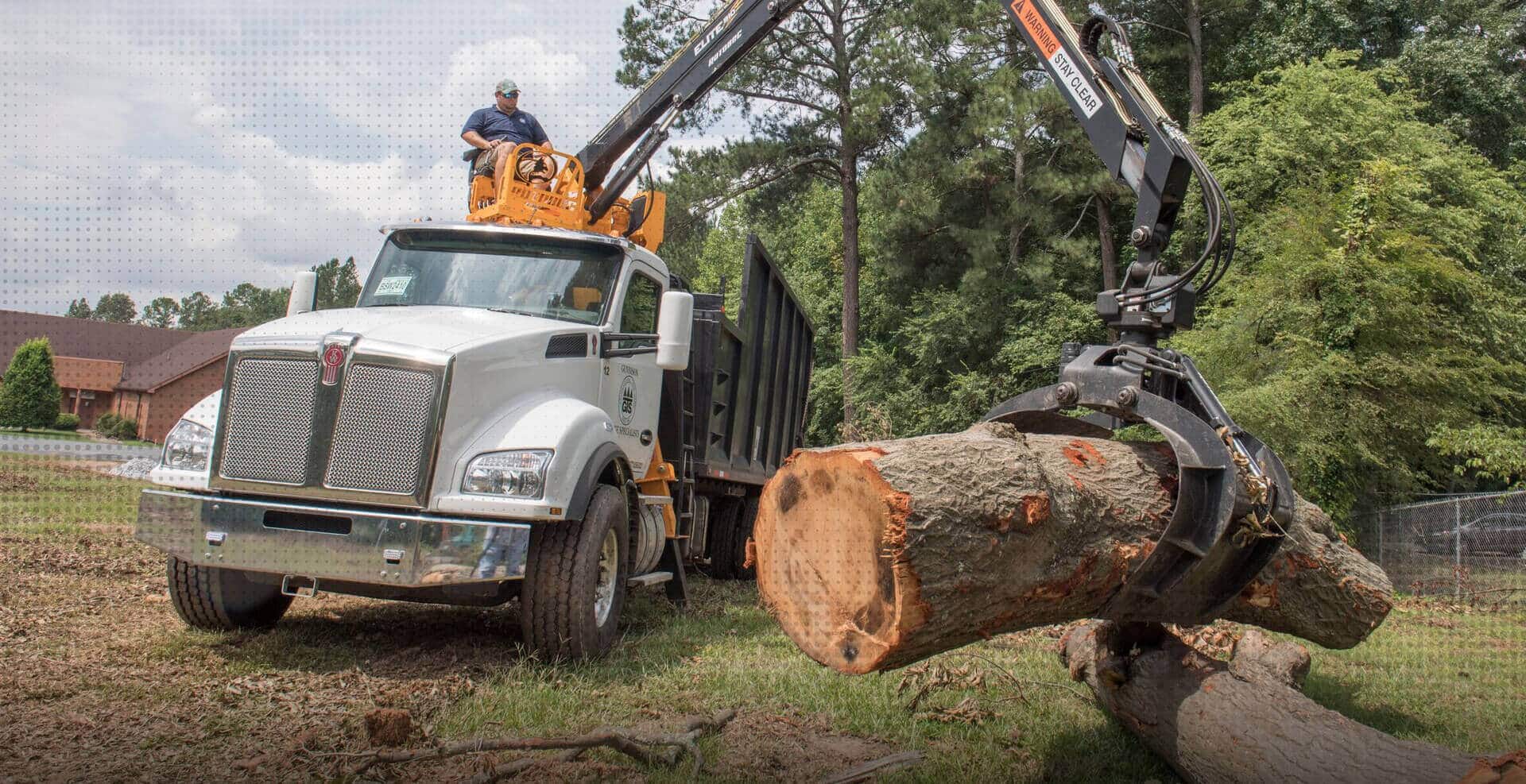 Tree Services Tinton Falls